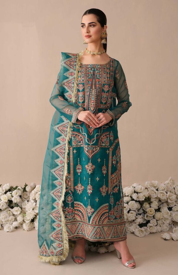 Embroidered Kameez Trouser Organza Pakistani Dress