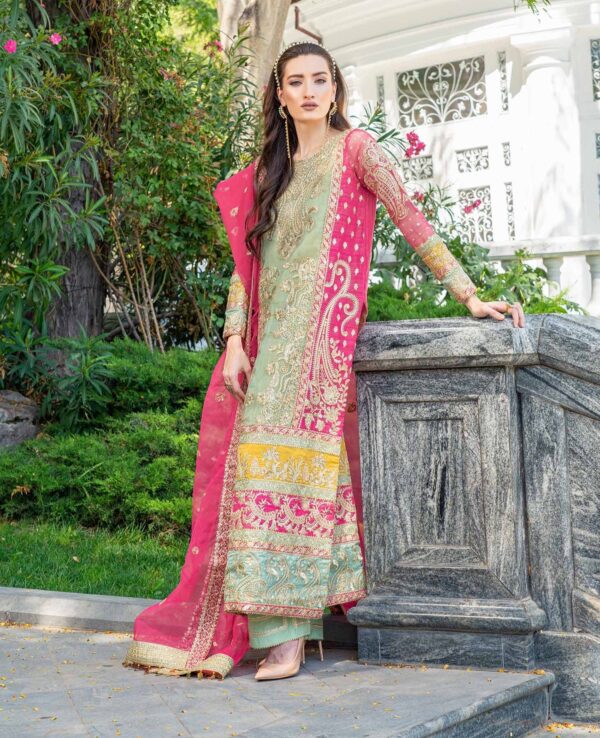Embroidered Pakistani Dress in Kameez Trouser Style