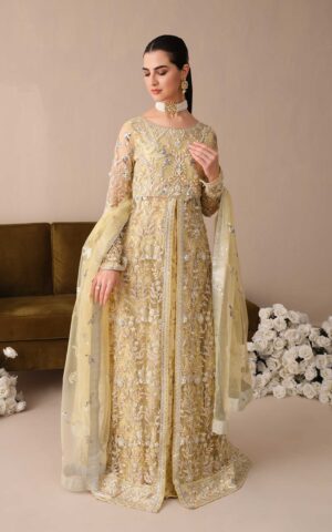 Front Open Gown Pakistani Wedding Dress in Net Fabric