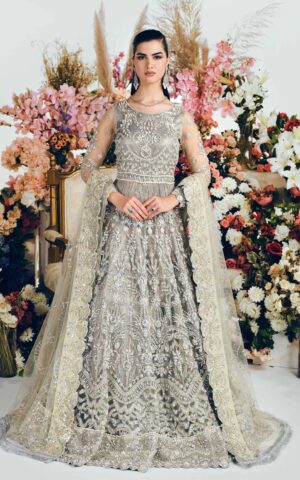 Grey Bridal Dress Pakistani in Embroidered Gown Style