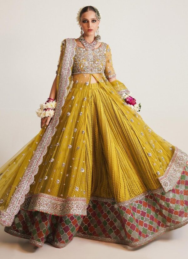 Pakistani Bridal Pishwas Frock Sharara Mehndi Dress