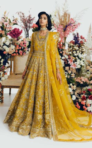 Pakistani Bridal Pishwas Frock and Organza Dupatta Suit