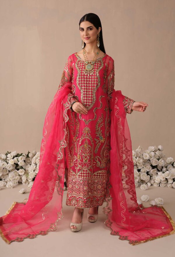 Pakistani Pink Dress in Organza Kameez Trouser Style
