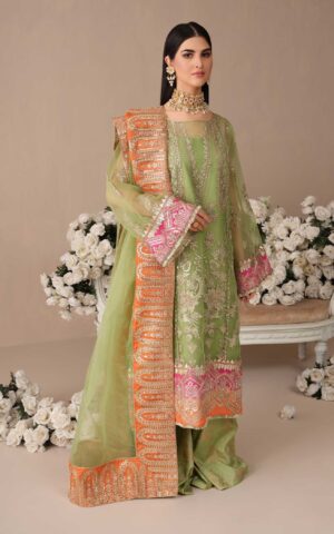 Pakistani Wedding Dress in Organza Kameez Trouser Style